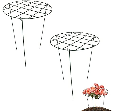 2 Pcs Flower Support Rings, Peony Cage Plant Support Stake,Grow Through Grid Plant Brace, Hoops with 3 Pcs Legs for Heavy Blossoms (2 pcs 24)