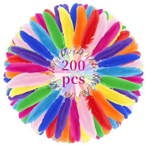 Notoke 200 Stück Bunte Federn, Natürliche Bastelfedern Bunt, Bastelfedern aus Art Design, 10–15 cm lang, für DIY Kunstwerk, Kindergarten, Hochzeiten und Kostümdekorationen