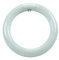 6PZ CIRCOLINE TRIFOSFORO FLUORESCENTI T9 G10Q - 32w - 4200?K naturale - 2300 lm - 305x30