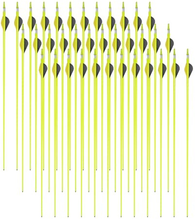 LN Cozy CORNE Carbon Arrows 30 Spine Mixed Hunting Arrows with Removable Steel Tips for Recurve Bow Compound Bow & Longbow Target Practice (36 Pcs)