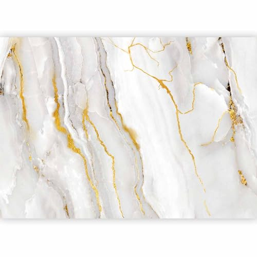 murando Fotomurales Piedras 400x280 cm XXL Papel pintado tejido no tejido Decoración de Pared decorativos Murales moderna Diseno Fotográfico Marmol Abstracto 3D Efecto Blanco f-C-0459-a-a