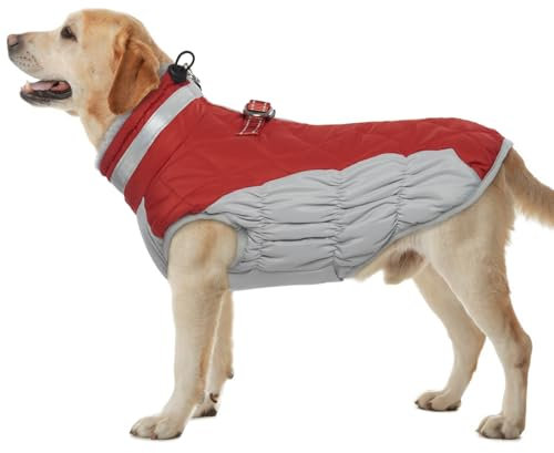 Hjumarayan Hundemantel für Kleine Mittelgroße Grosse Hunde, Hundemantel Winter Warme Wintermantel Hund Hundejacke Wasserdicht Hunde Mantel Gefüttert, Outdoor Hundemantel Labrador (Rot XL)