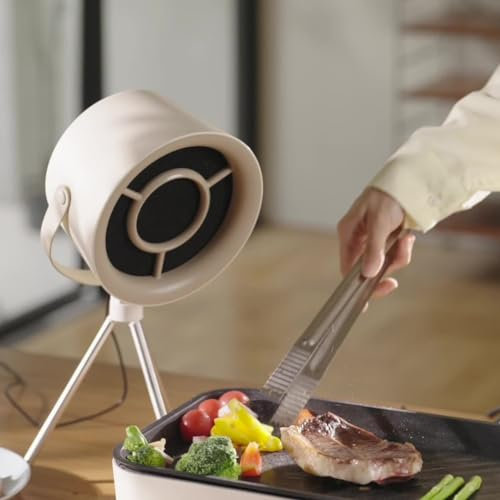 HEBEOT Desktop Cooker Hood Mini Household Portable Extractor Hood Small Kitchen Exhaust Fan For Home Kitchen BBQ 5V/2A(White)