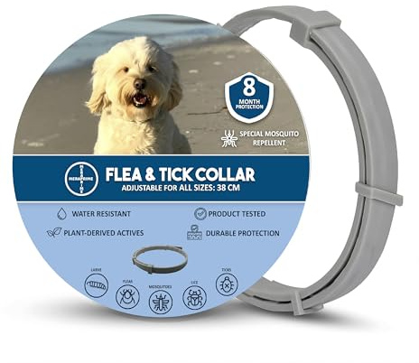 MeraPrime® Collar Antiparasitario Perros | Collar Leishmaniosis (Mosquitos), Pulgas y Garrapatas | Antipulgas y Garrapatas Perros Medianos y Pequeños | 38cm Ajustable, 8 Meses, Vegetal, Impermeable