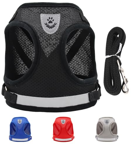 Pettorina e Guinzaglio per Cani, Pettorina Traspiranti Regolabili, Leggera Morbida Rete Pettorina, Pettorina Comfort Anti-fuga, Pettorina Riflettente per Cuccioli, Cani di Piccola e Media