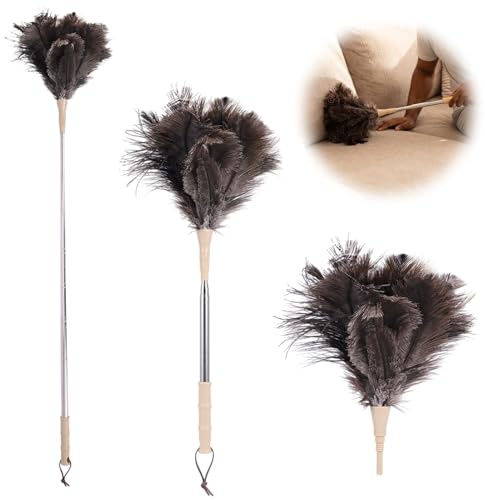 Plumero Extensible Plumas de Avestruz,Mango Bambú,Acero Inoxidable,Cabeza Intercambiable,Gancho y Cepillo,para Lámparas,Ventiladores,Muebles,Pantallas, Persianas y Marcos de Fotos