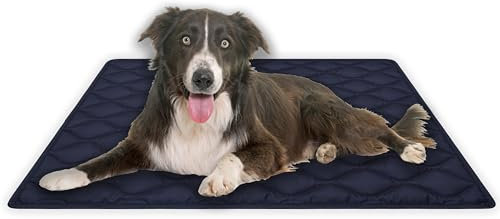 MyBestBuddy Hundematte Oxford wasserfest 80x60 cm M, Outdoor, schmutzabweisend und 40°C waschbar - Hundebett für mittelgroße Hunde, 80 x 60 cm