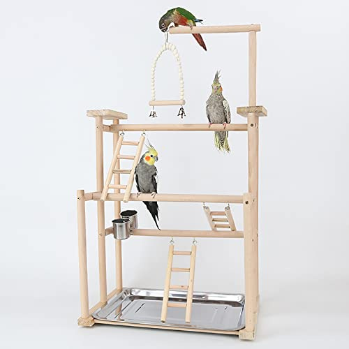 des Oiseaux Playstand, Aire de Jeux pour Oiseaux, Perroquet Oiseau Perch pour Perroquets, Cockatiels, Perruches, Conures, Joue Verte(44 * 31 * 79CM)