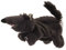 Hochwertiges Puppentheater 70x 165 cm Türtheater für Kinder hochwertige Handpuppen Märchen Kasperletheater (Handpuppe Wolf)