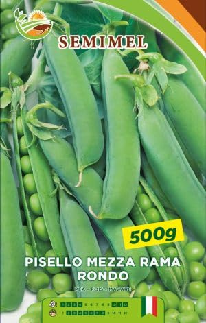 Pisello Mezza Rama Rondo - Legume Vigoroso e Produttivo, Alta Resa, Ciclo Medio Precoce, 1kg di Semi 3 confezioni