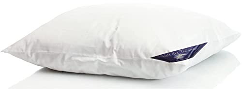 Welt der Träume Daunenkissen | 80x80 cm | Füllgewicht: 900 Gramm | Kissenbezug aus 100% Baumwolle | Kopfkissen 80x80 Daunen | Federkissen | kein Lebendrupf | 1 Stück