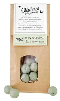 Blossombs Bombe de Graines Sachet Kraft avec 50 Graines Fleurs Sauvages - Menthe Vert - Graines de Fleurs a Semer Cadeau pour les Abeilles, Bourdons et Papillons Mélange Graines Fleurs Jardin