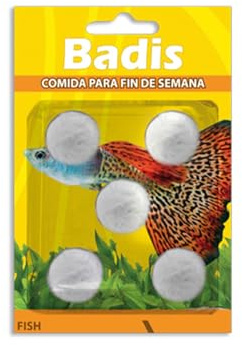 Moly Badis Food Weekend Blocks Calcium