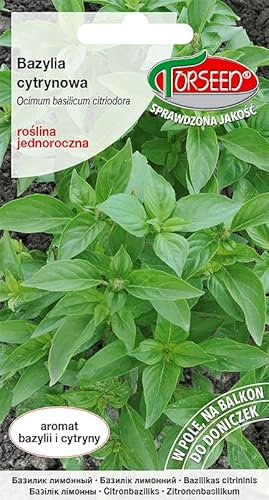 Verdica Semi di basilico al limone Ocimum basilicum citriodora - Profumo di limone profumato, ideale per balconi e davanzali, altezza 35-50 cm, semina metà marzo aprile, piacere annuale (0,1 grammi)