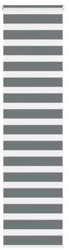 vidaXL Zebra Jalousie Dunkelgrau 60x230cm Stoffbreite 55,9cm Polyester, Zebra-Rollo, Doppelrollo, Zebra-Jalousie für Fenster, Doppelrollo, Zebra-Rollo