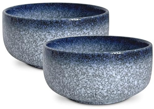 2 Stück Müslischalen Groß aus Porzellan, 950ml Keramik Ramen Schüssel Set für Küche, Servierschüsseln Müslischüsseln Suppenschalen Salatschale Pastaschüssel Schalen Bowl Set