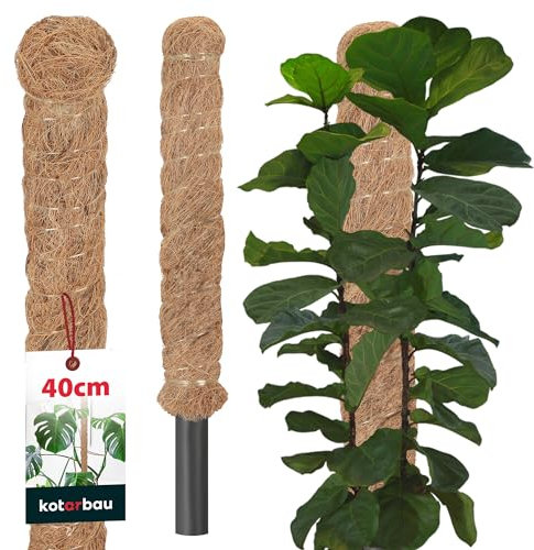 KOTARBAU® Tuteur Plante Interieur | Tuteur Coco | Tuteur Plante Grimpante, Tuteurs pour Plantes | Tuteur Monstera Deliciosa ⌀ 2,5 x 40 cm en fibres de coco