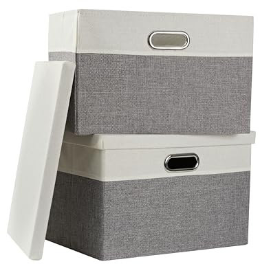 AlphaHome Storage Boxes with Lids, Glaucous Grey and White(2 Pack, Large)