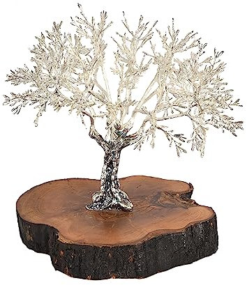 Genérico Olivo Plata