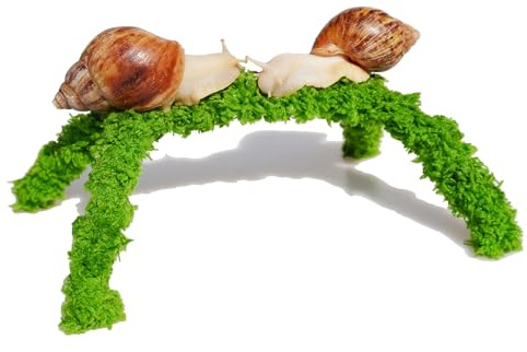 Jinymral 9.5cm Pet Snail Climbing Toys, Ideal Snail Terrarium Accessories