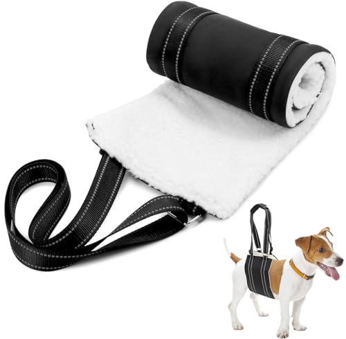 QWORK® Arnés de elevación Ajustable para Perros M, Ayuda de Movilidad para Patas traseras, asa Acolchada, 16 x 53 cm, para 9-36 kg