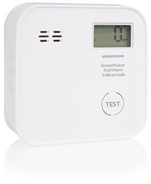 Smartwares détecteur de CO - Pile 10 Ans - Écran & indicateur LED - Bouton de Test - FGA-13091