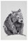Maxwell & Williams Marini Ferlazzo Geschirrtuch mit Tiermotiv Wombat 100 % indische Baumwolle, weiß, 50 x 70 cm
