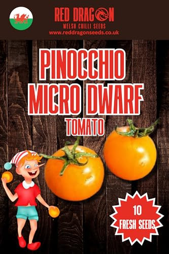 Pinocchio Micro Dwarf Tomato Seeds - 10 Fresh Seeds