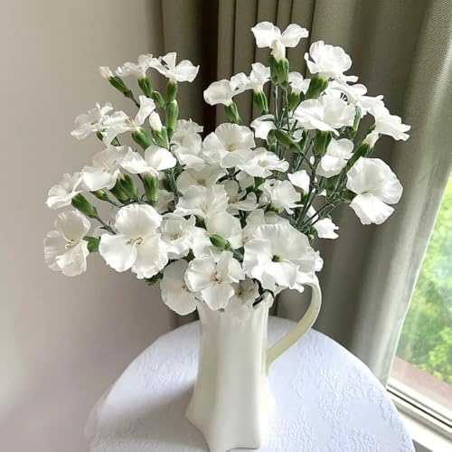 Semi di chiodi di garofano, regali da giardino Semi di garofano dolce, rare regali sostenibili decorazione da giardino per esterni 200pcs