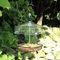 Garden Mile® Bird Feed Seed Hanging Nut Seeds Bird Feeder Suet Cake Fat Balls Outdoor Garden Patio Perfect For Garden Wild Birds Wildlife Food (Hanging Mealworm Canopy Bird Feeder)