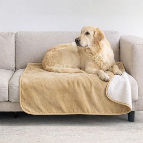 Dreamzie - Plaid Imperméable Chien et Chat - 80x100 cm - Beige