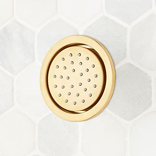 Signature Hardware 476938 4-3/4 Wide Round Flush-Mount Brass Body Spray with Rubber Spray Nozzles - Brushed Gold