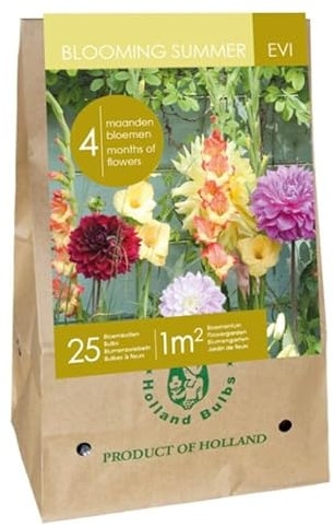 Jub - Mix Bulbes Fleurs été EVI