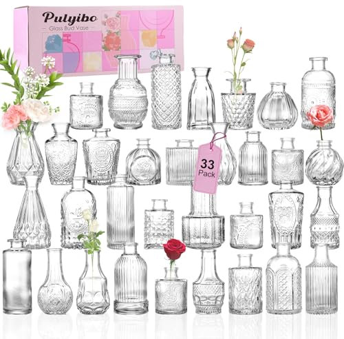 Pulyibo Vase à Bourgeons en Verre 33 Pcs, Petits Vases pour Centres de Table de Mariage Rustique, Mini-Vases en Vrac pour Décoration Florale de Table, Vases Transparents