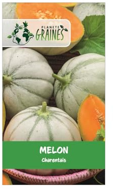 60 Graines de Melon Charentais – Variété Traditionnelle Française, Chair Orange Intense, Saveur Sucrée et Parfumée – Pour Cultiver le Soleil