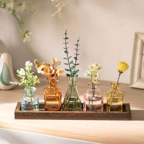 Glasseam Petits Vases pour Déco de Table: 5 Mini Vases à Fleurs Colorés avec Plateau en Bois pour Décoration de Salon ou de Table à Manger - Ensemble de Vases à Fleurs en Verre pour Cadeaux de Fête
