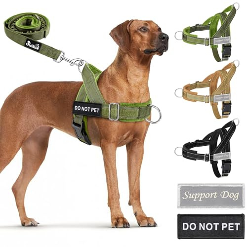 SlowTon No Pull Dog Harness - Heavy Duty Dog Harness and Leash Set for Medium Large Dogs, Reflective Tactical Harness with Soft Padded and Front Clip for Easy Walk and Training (GR, L)