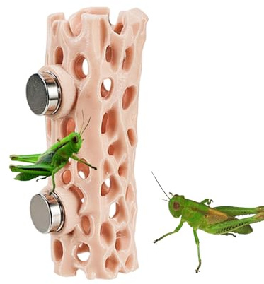 Hábitat De La Araña Saltarina - Terrario De Insectos Magnéticos | Ventilación De Pantalla De Puerta, Refugio Magnético Para Reptiles, Hábitat De Ranas, Para Terrario, Araña Saltadora, Escalada, Mascot