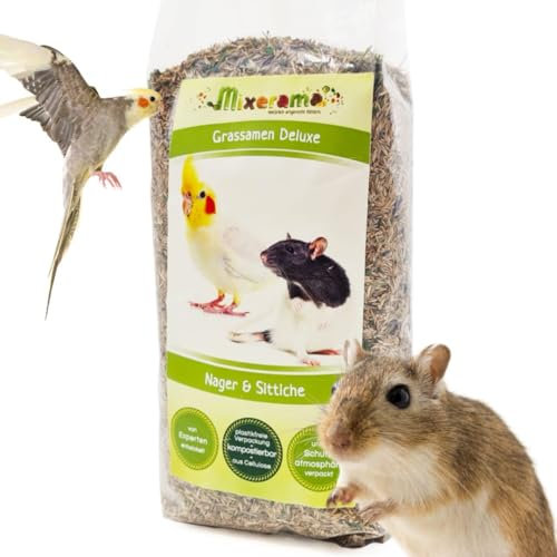 Mixerama Grassamen Deluxe - Ergänzung zum Futter für Ratten Mäuse Zwerghamster und Sittiche
