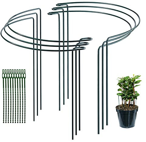 JIALWEN 6 Pack 20×35cm Plant Support Stakes Ring Cages, Metal Garden Plant Stake, Green Half Round Plant Supports for Vegetable, Tomato, Peony, Roses, Hydrangea, Flowers