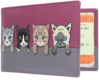 Mala Leather Best Friends Collection Travel Pass/Oyster Card Holder 630TC_65 Pink