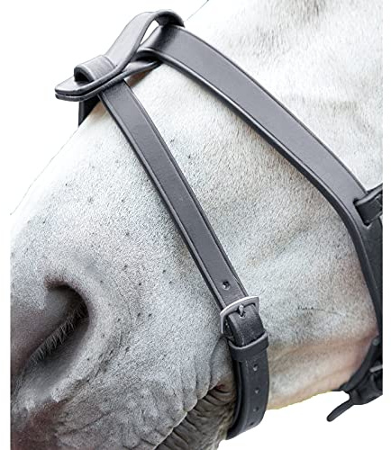 Skjortor Blenheim Flash Strap (X-full, svart)