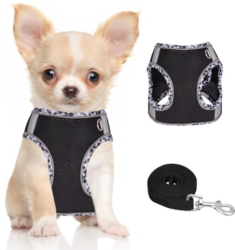 DoggieKit Harnais pour Chiens de Petite Taille et de Taille Moyenne, Harnais et Laisse pour Chiots, Harnais en Maille réfléchissante et Respirante, Gilet Doux et rembourré pour Chiens