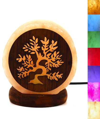 PLUS HOME Lámpara de Sal del Himalaya Natural 8.5 x 10 cm,LED Multicolores,100% Hecha a Mano con Propiedades Terapéuticas,Ayuda para dormir,Perfecto Para Decoracion Hogar