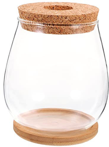 BESPORTBLE 3sets Glass Terrarium Jar Decorative Vase for Plant Hydroponic Vase Lid