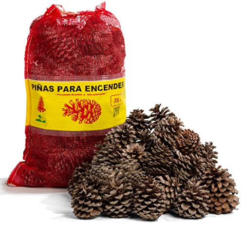 FlashPrix Piñas Encendido Ecológicas, Secas y Grandes para Barbacoa, Chimenea, Caldera y Estufa, 32L