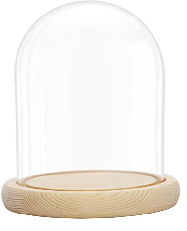 BELLE VOUS Glass Dome Cloche Bell Jar with Natural Wooden Base - 16.2cm / 6.38 Inches Tall - Clear Decorative Tabletop Display Case with Tray for Fairy Lights, Centrepieces and Antiques