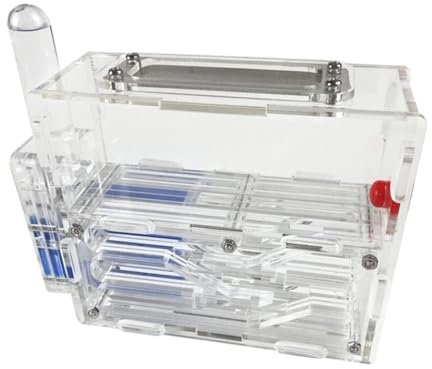 REEKOS Ameisenhaus Ameisenfarm Ameisenburg Ameisenburg Acryl Ameisenfarm Wissenschaftliche Beobachtung DIY Ameisennest Farm Ameisenwerkstatt Ameisennest Ameisen Zucht Box(Transparent)