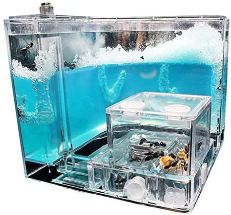 Kreatives DIY-Ameisenfarm-Set, Ameisenschloss-Beobachtungsset. Studieren Sie das Verhalten von Ameisen zu Hause. Ameisenfarm in der Schule. Beobachten Sie Ameisen, wie sie ihren eigenen Ameisenhaus-Tu