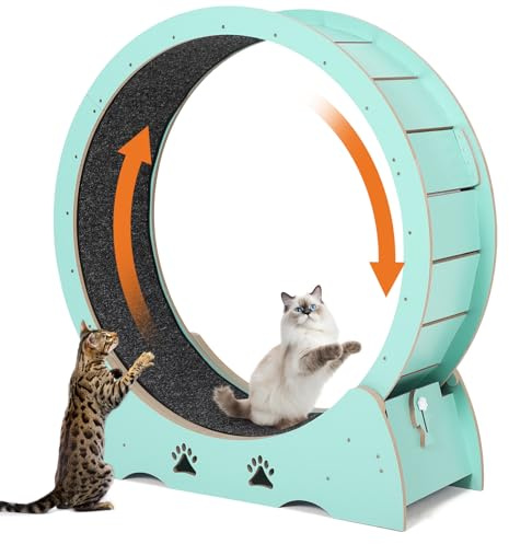 Roue d'exercice pour Chat Extra Large 87 cm, Roue Ultra silencieuse pour Chat avec Tapis et Verrouillage de sécurité, Stable pour Toutes Les Races de Chats